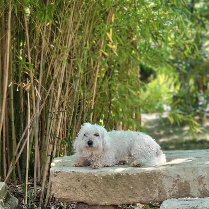 La Grange Du Luberon Holiday home